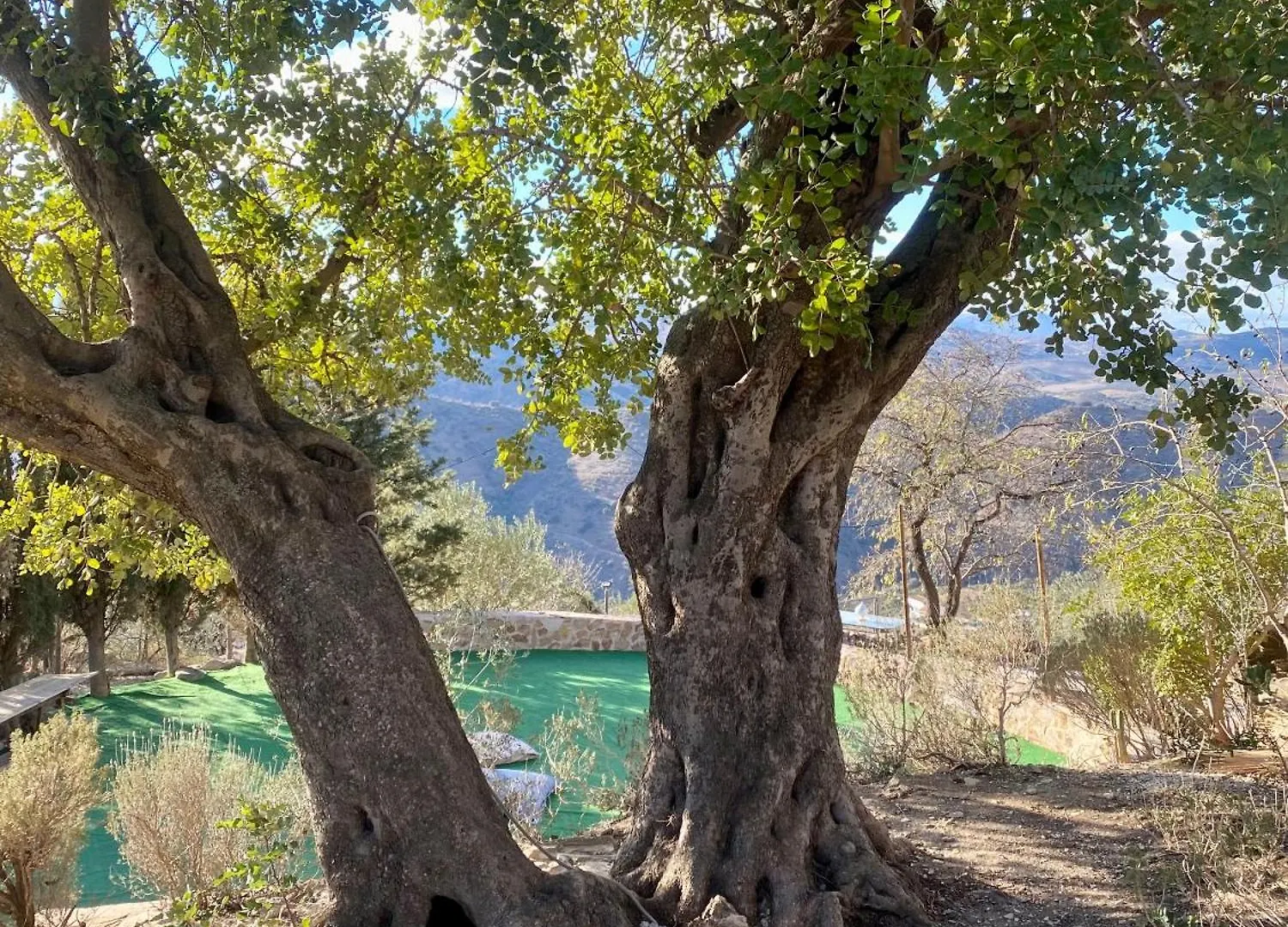 Chalé La Tahona Vila Almogía